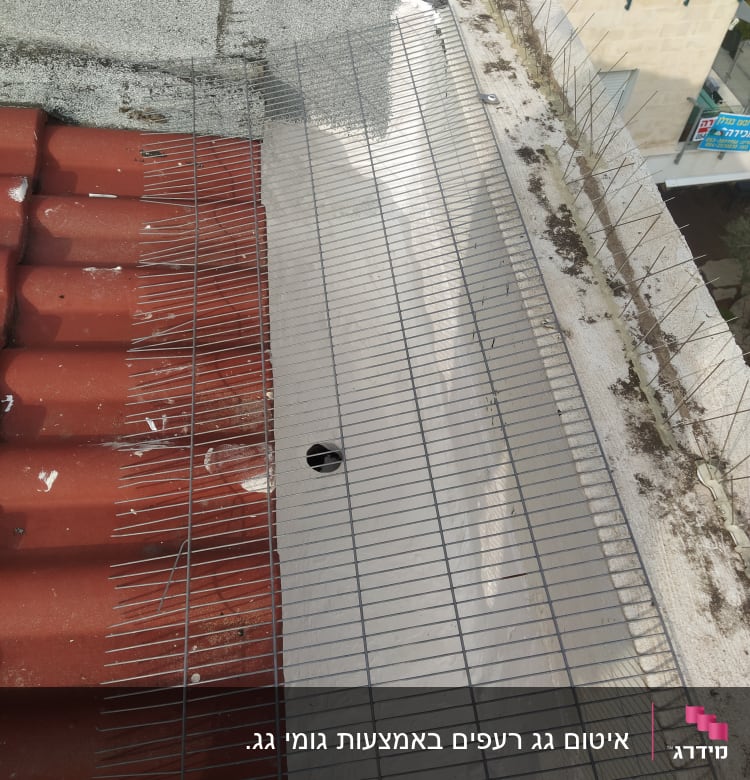 רשת מתכת על גג עם דוקרנים למניעת ציפורים